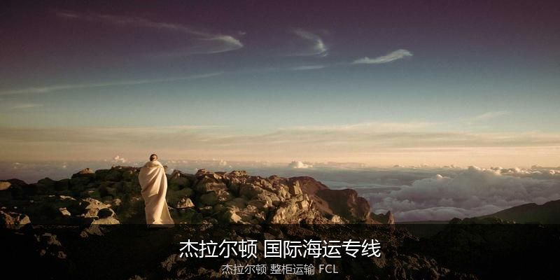海运拼箱与整柜运输优劣对比